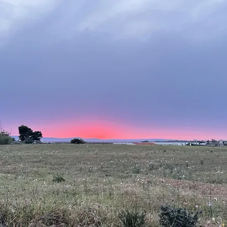 La Nuova Rinascita Séjour à la ferme San Giovanni Suèrgiu